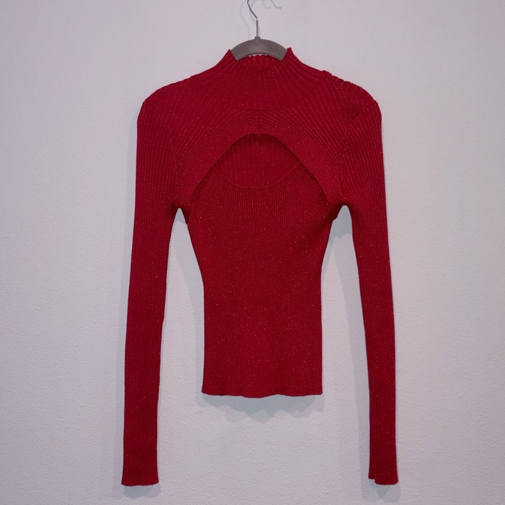 Pink Rose Vibrant Red Crop Top